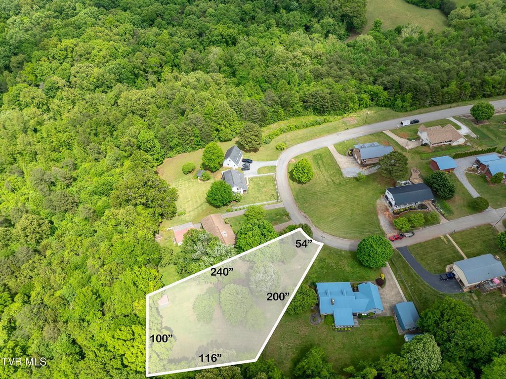 Photo of 346 Hills Drive, Mosheim, TN 37818 (MLS # 9994699)