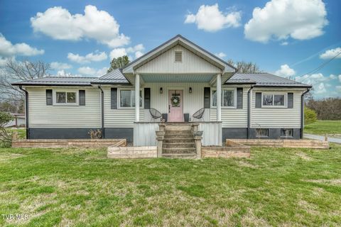 Photo of 1005 & 1009 Island Road, Blountville, TN 37617 (MLS # 9993019)