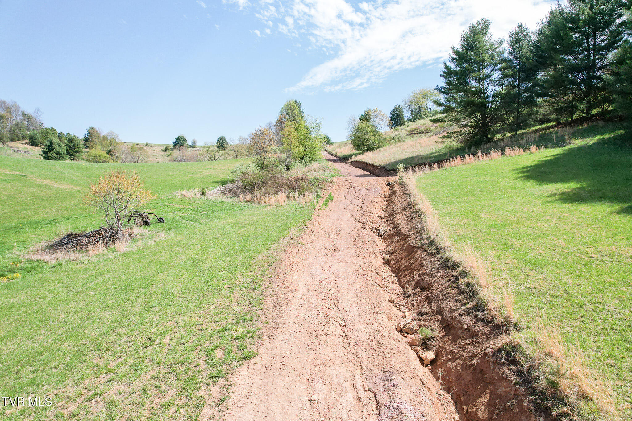 887 Mill Creek Road, Mountain City, Tennessee image 13