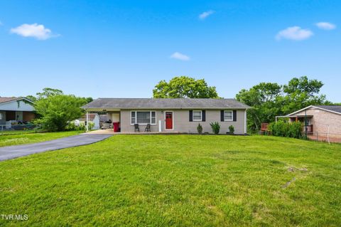 Photo of 2911 Russum Avenue, Johnson City, TN 37604 (MLS # 9995474)