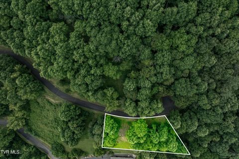 Vacant Land For Sale - LOT 20 Lake Ridge Road<br/> Johnson County, Butler, TN 37640