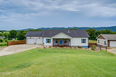Photo of 674 Old Embreeville Road, Jonesborough, TN 37659 (MLS # 9988838)