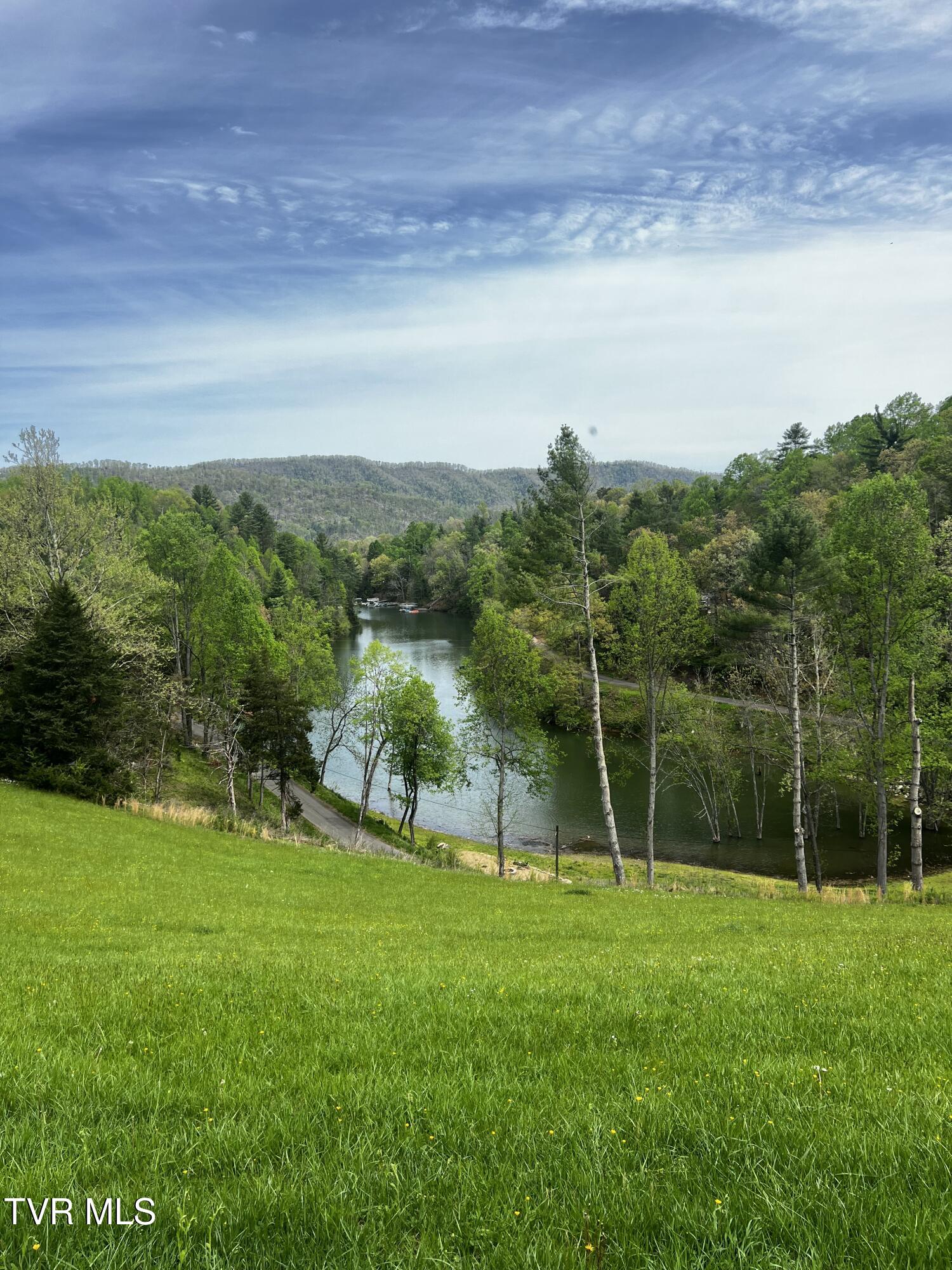Lot 29 Vineyard Valley Trail, Butler, Tennessee image 3