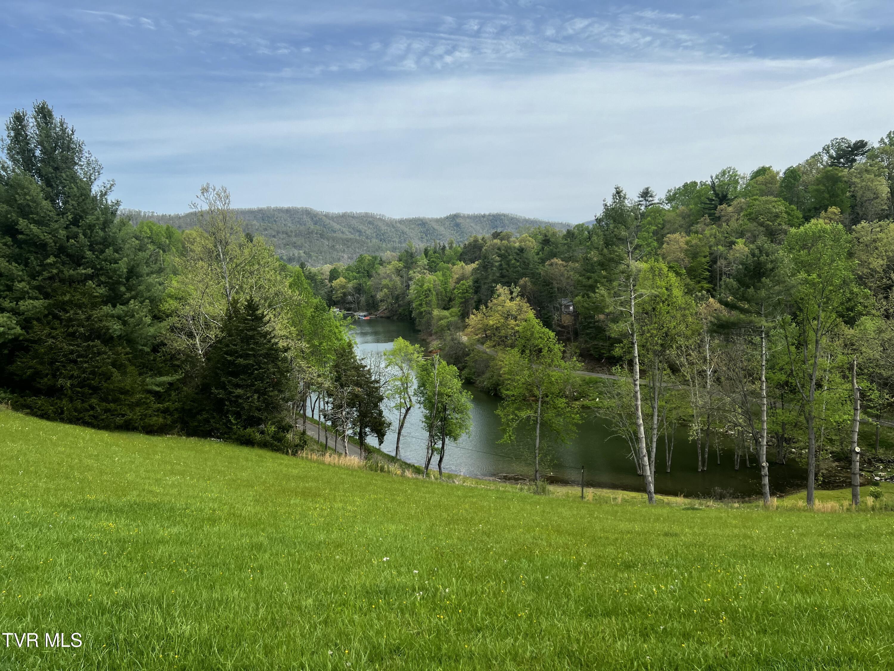 Lot 29 Vineyard Valley Trail, Butler, Tennessee image 2