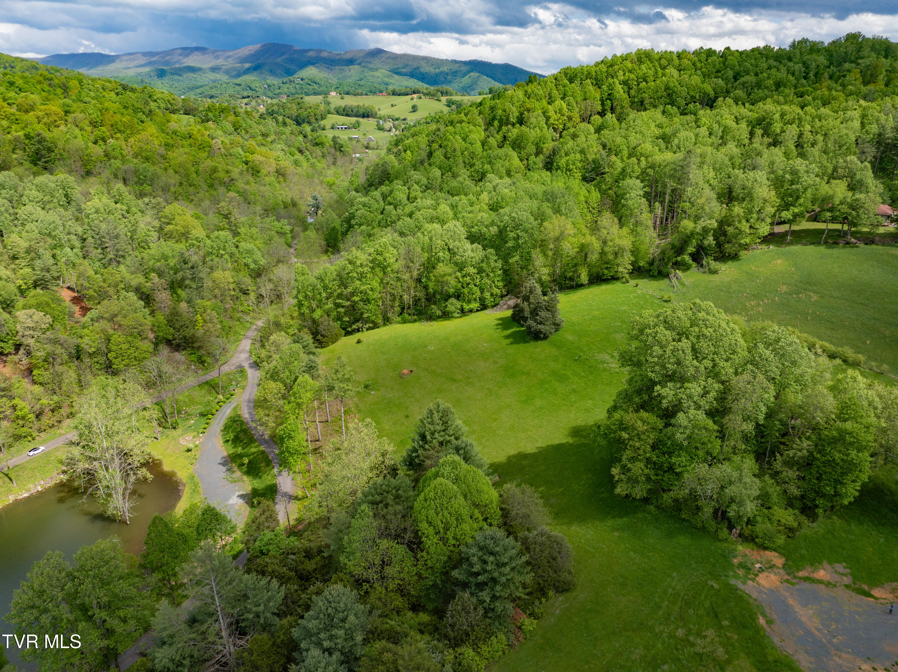 Lot 29 Vineyard Valley Trail, Butler, Tennessee image 6