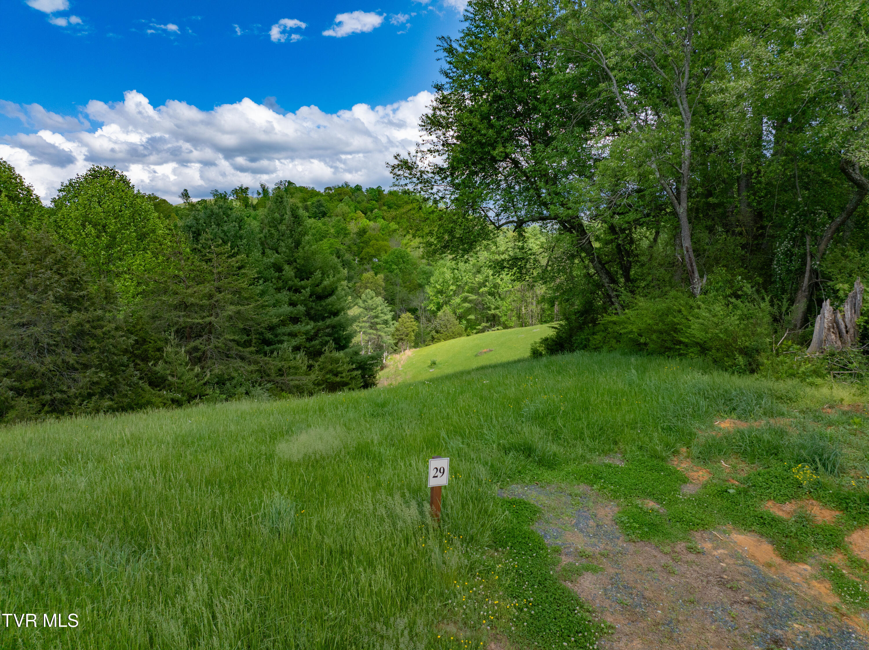 Lot 29 Vineyard Valley Trail, Butler, Tennessee image 5