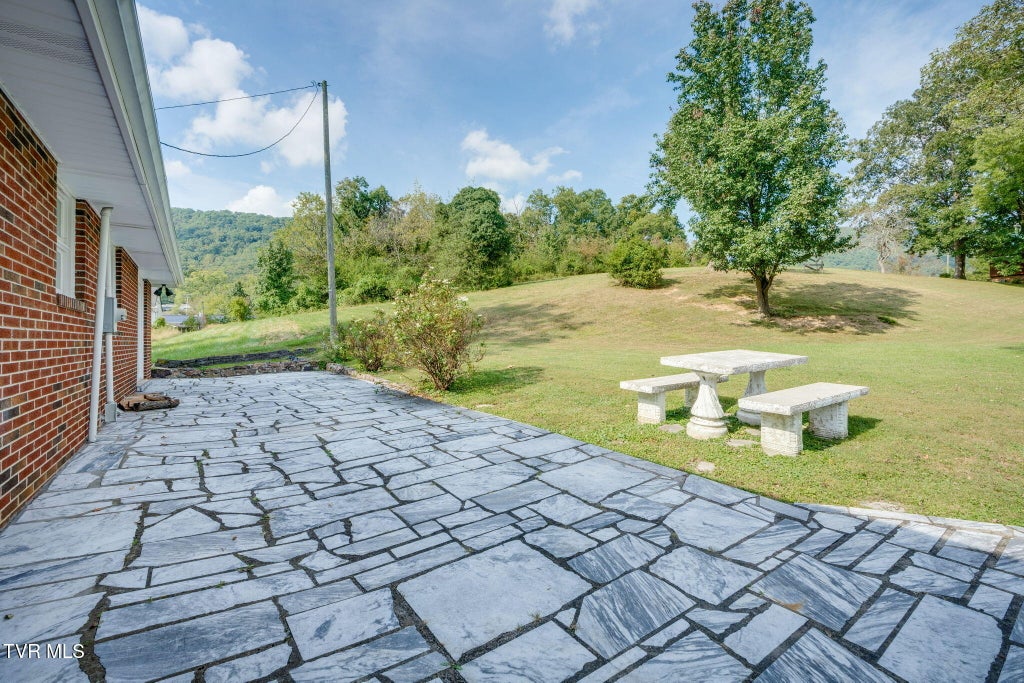 Photo of 187 Jennings Street, Weber City, VA 24290 (MLS # 10001754)