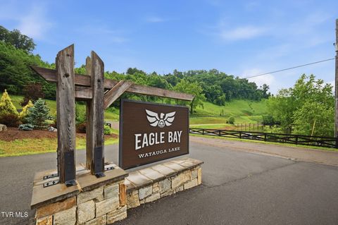 Vacant Land For Sale - LOT 4 Eagle Ridge Parkway<br/> Butler, TN 37640