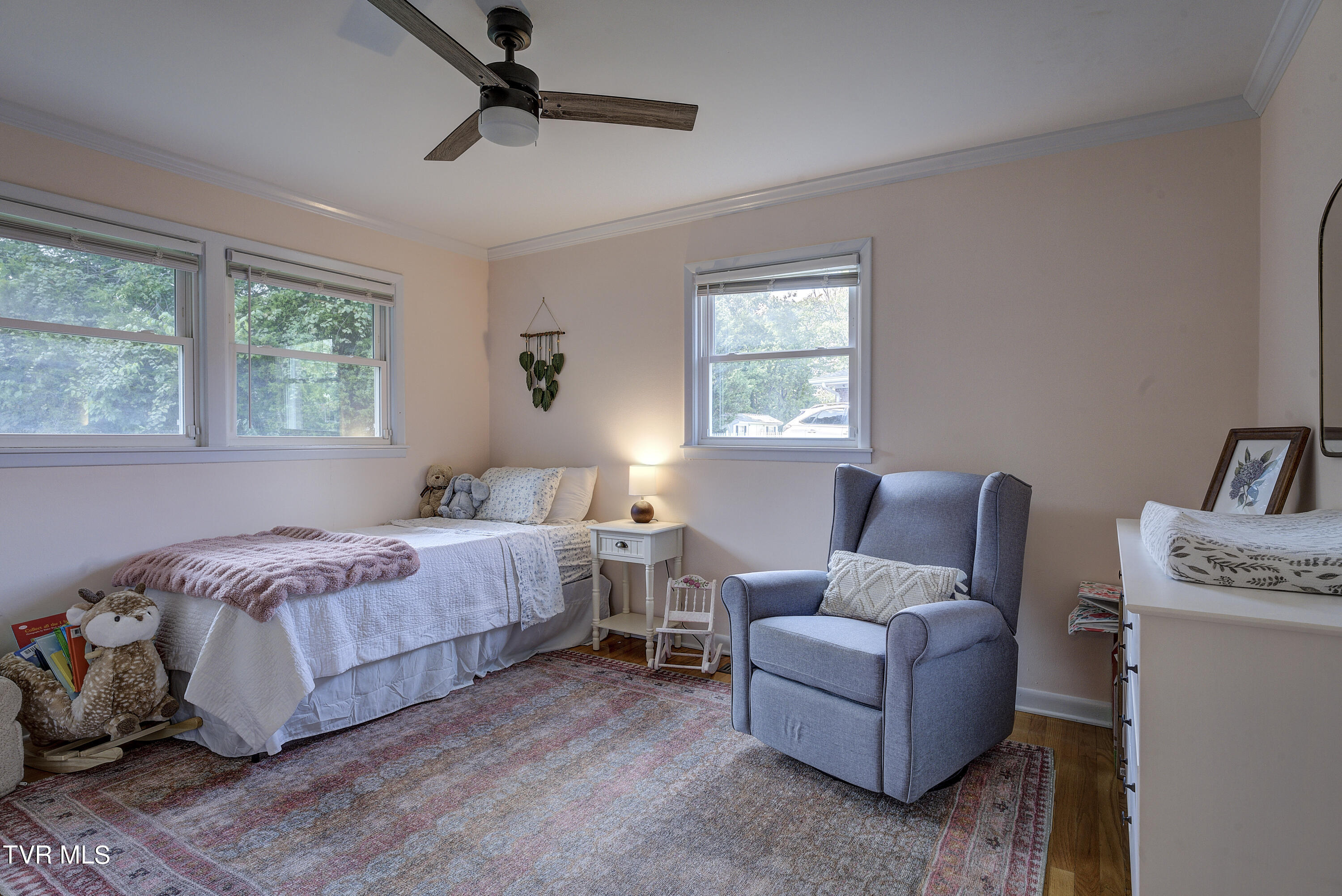 2405 Larkspur Drive, Johnson City, Tennessee image 29