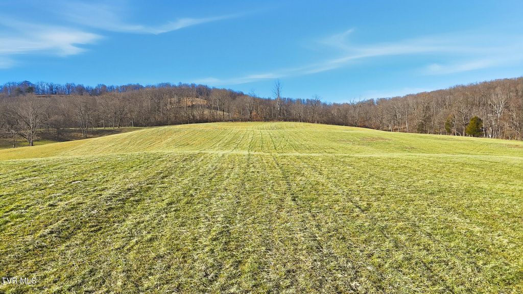 Photo of 261 Dotson Lane #Lot 2, Church Hill, TN 37642 (MLS # 9990591)