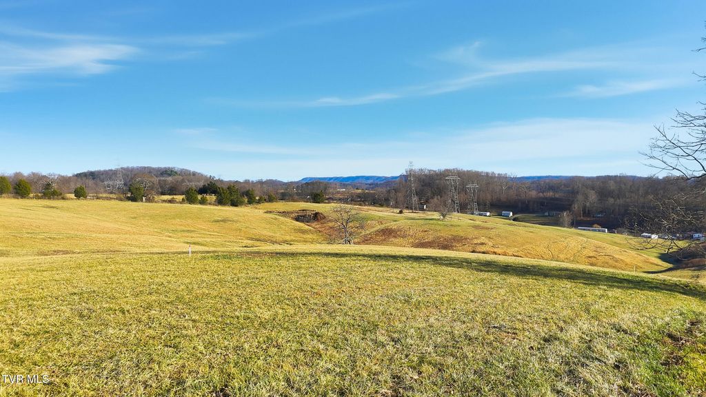 Photo of 261 Dotson Lane #Lot 2, Church Hill, TN 37642 (MLS # 9990591)
