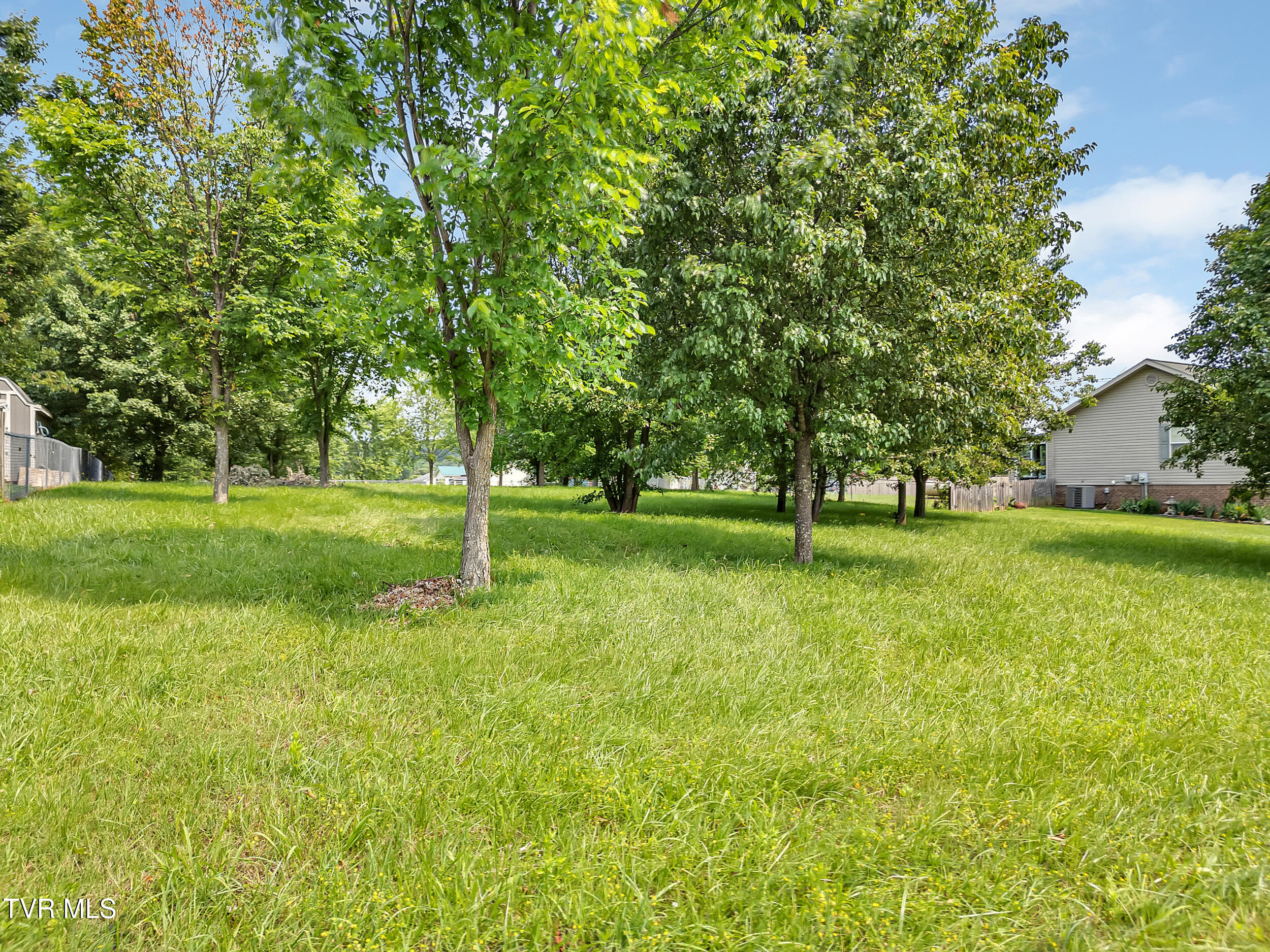 Tbd Pinto Road, Greeneville, Tennessee image 3