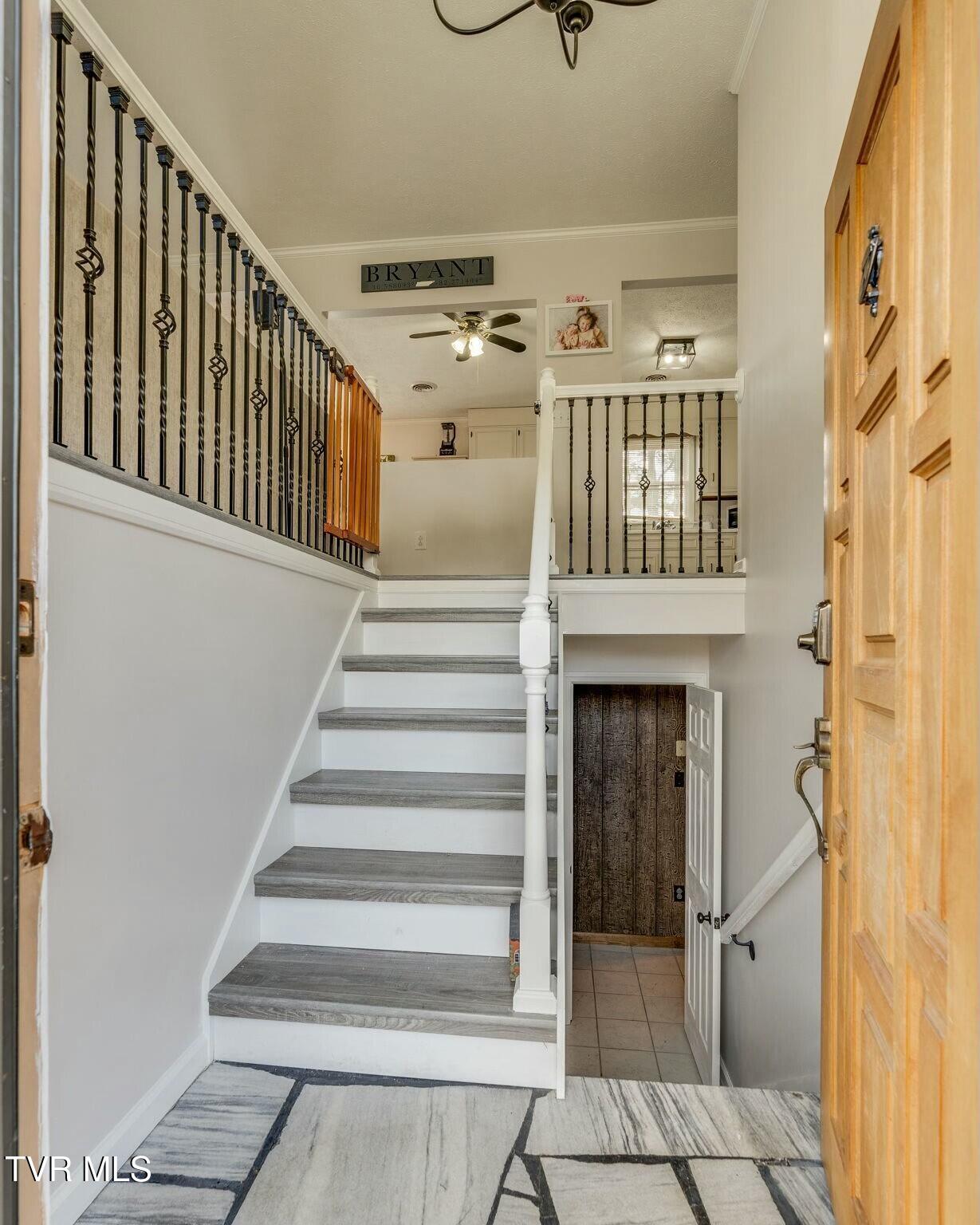 247 Carlton Road, Bristol, Tennessee image 4