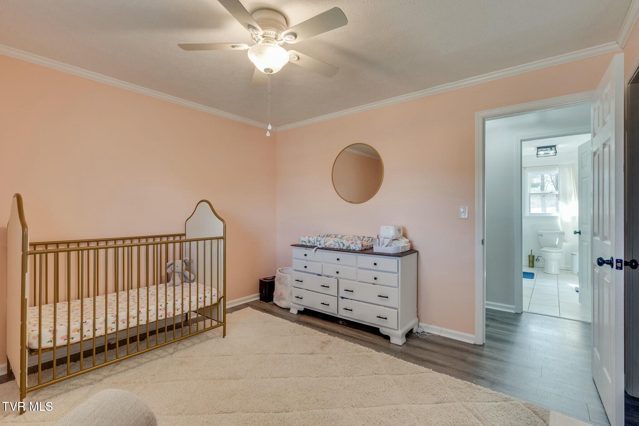 247 Carlton Road, Bristol, Tennessee image 19