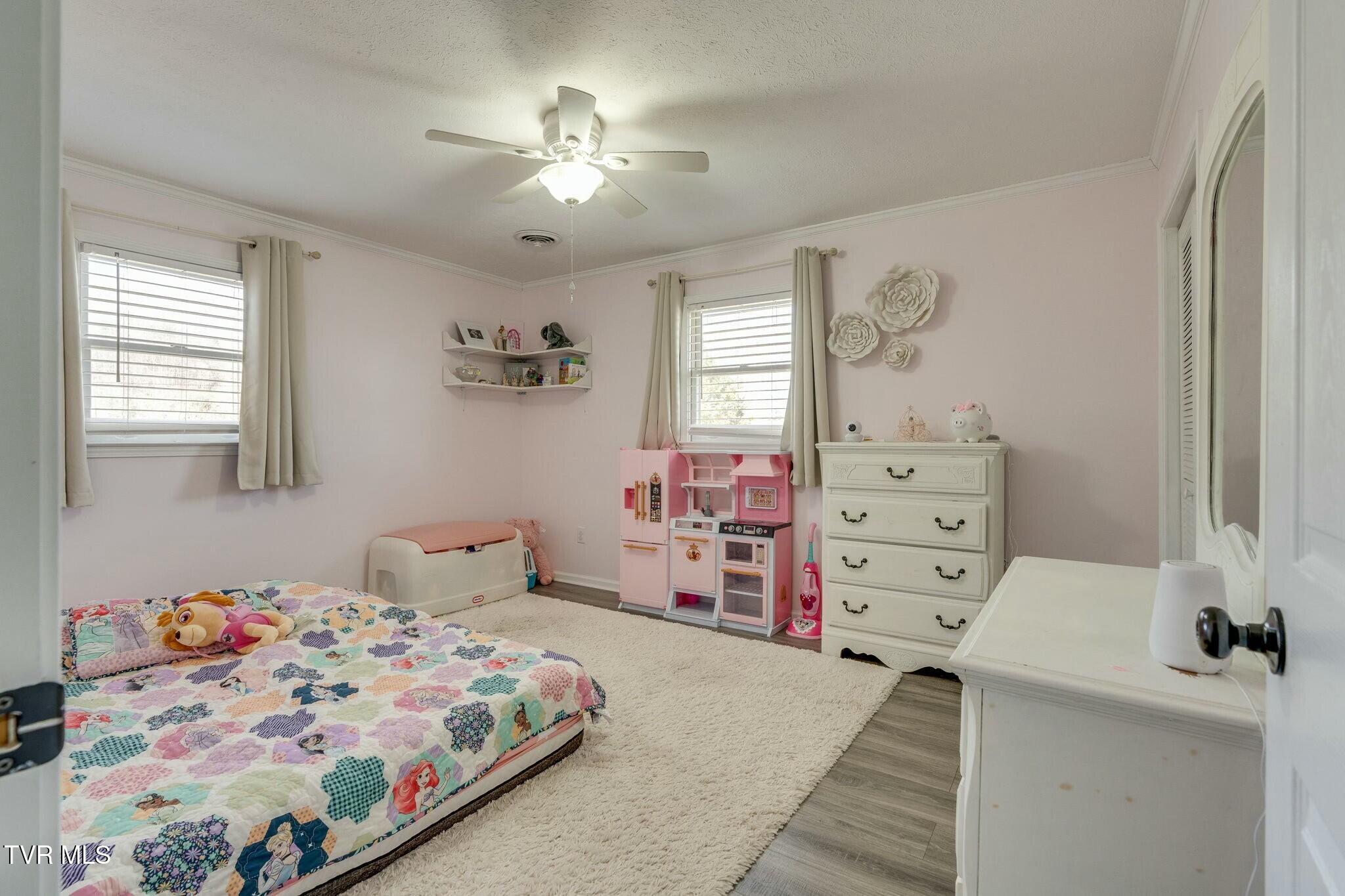 247 Carlton Road, Bristol, Tennessee image 16