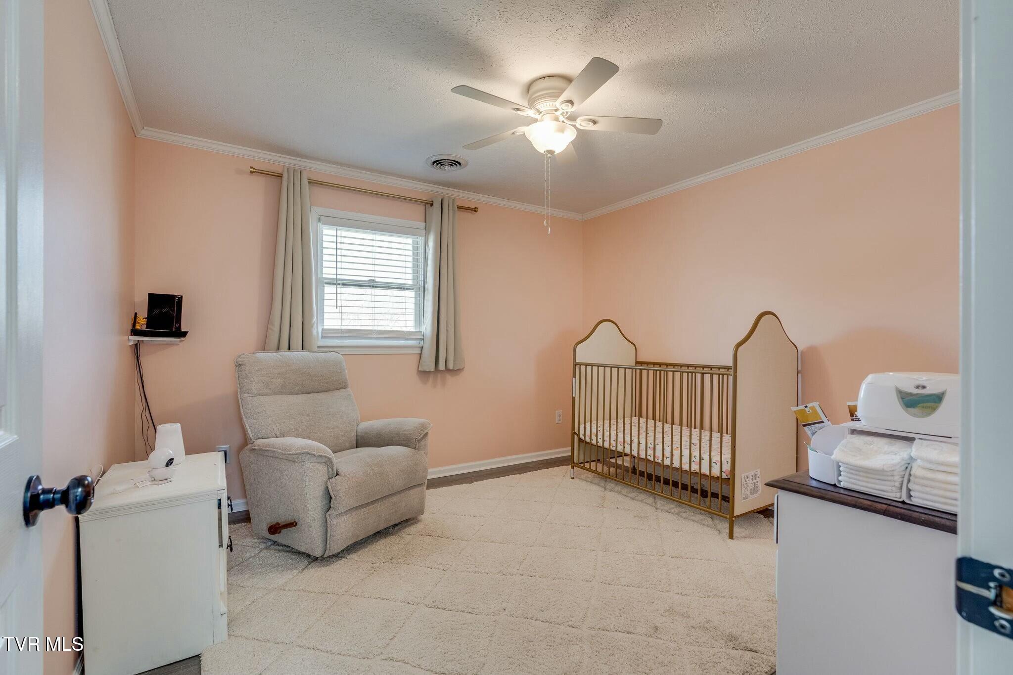 247 Carlton Road, Bristol, Tennessee image 18