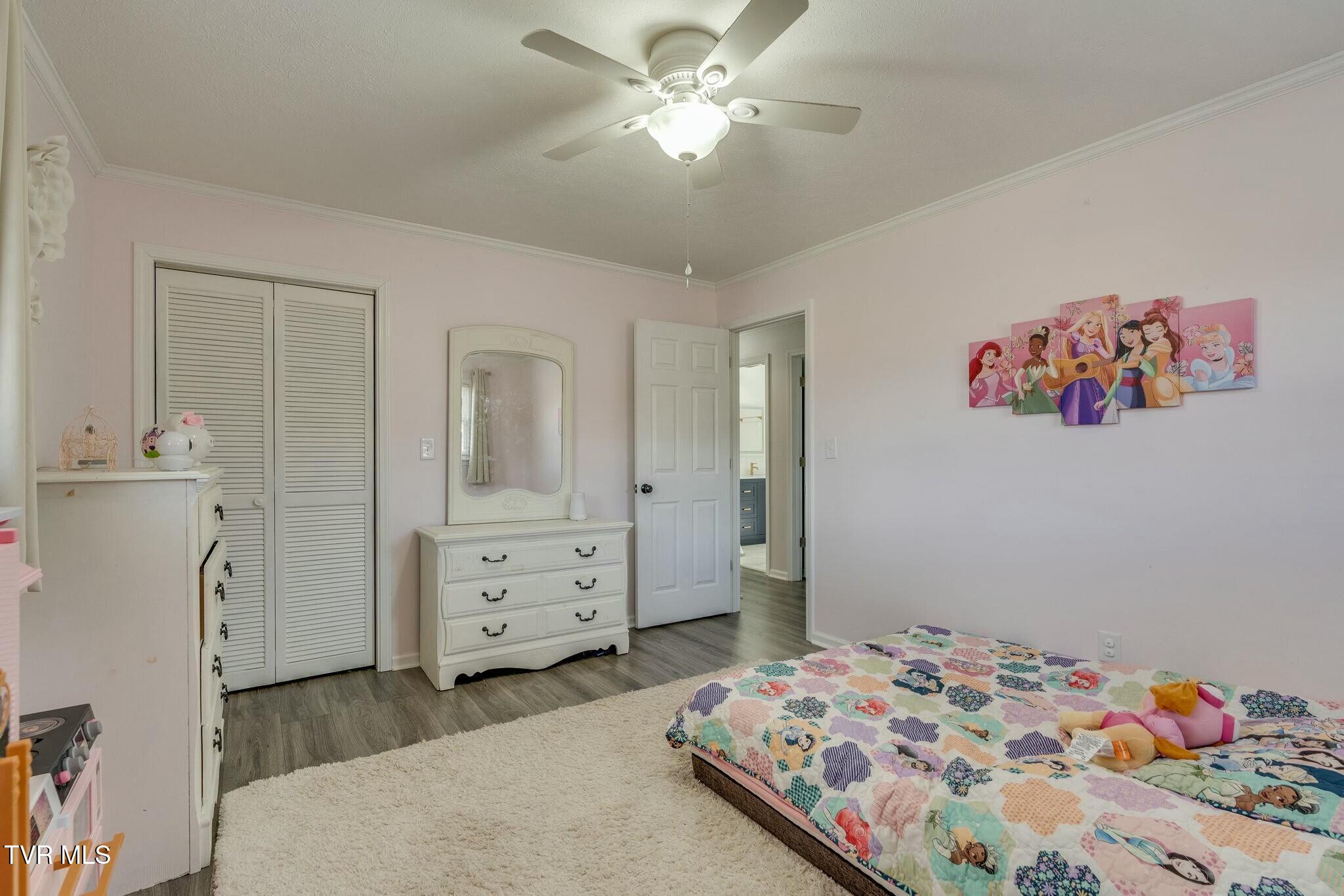 247 Carlton Road, Bristol, Tennessee image 17
