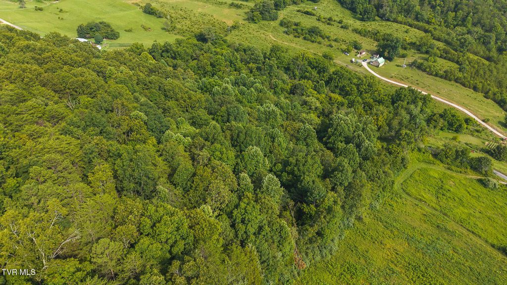 Photo of 0 Gravley Valley Road, Eidson, TN 37731 (MLS # 9985246)