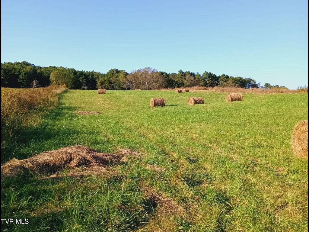 Photo of 436 Thorngrove Pike, Kodak, TN 37764 (MLS # 9998402)