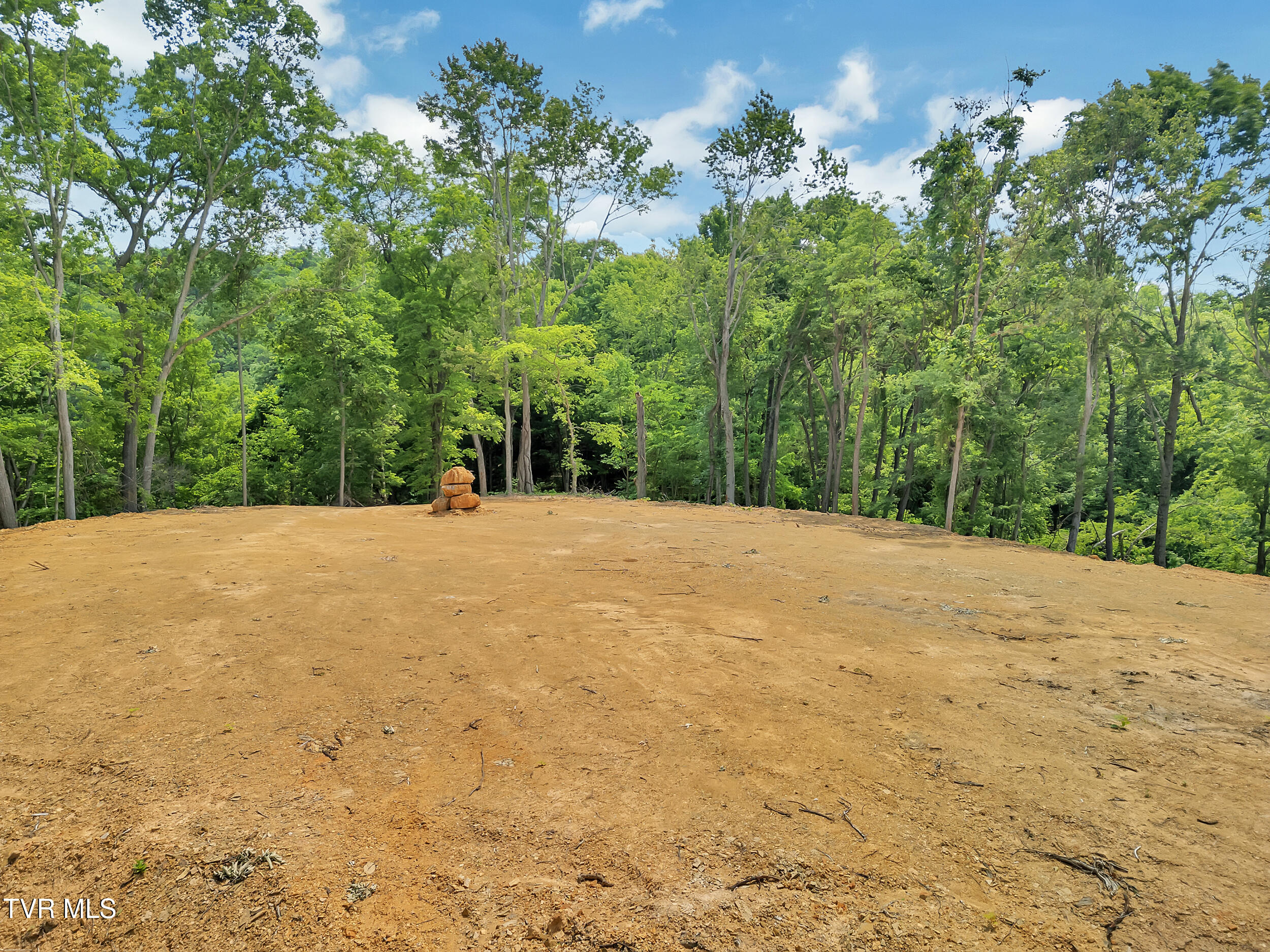 750 Herb Hodge Road, Johnson City, Tennessee image 9