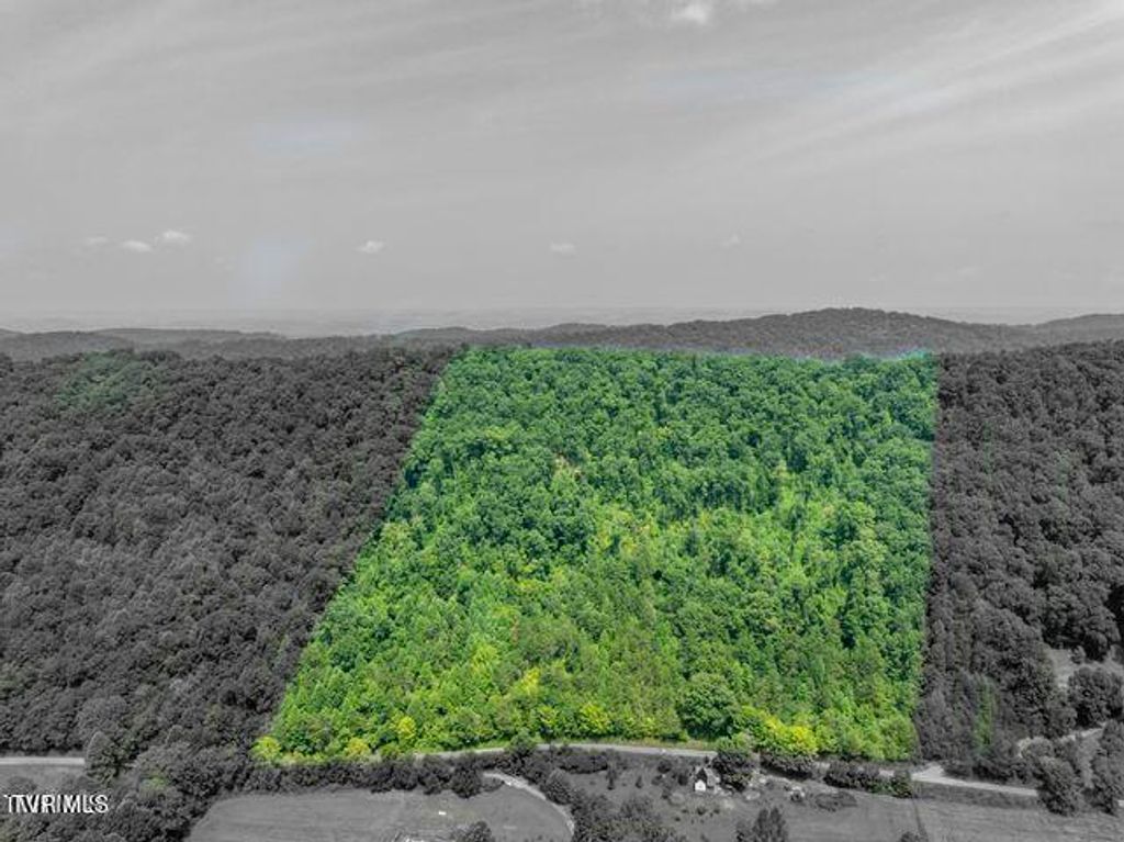 Photo of Tbd Grassy Creek Road, Rogersville, TN 37857 (MLS # 9985014)