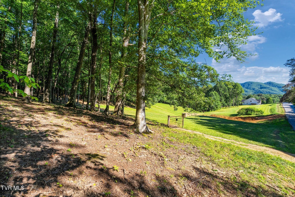 Photo of 180 Water Tank Hill Road, Johnson City, TN 37604 (MLS # 10001359)