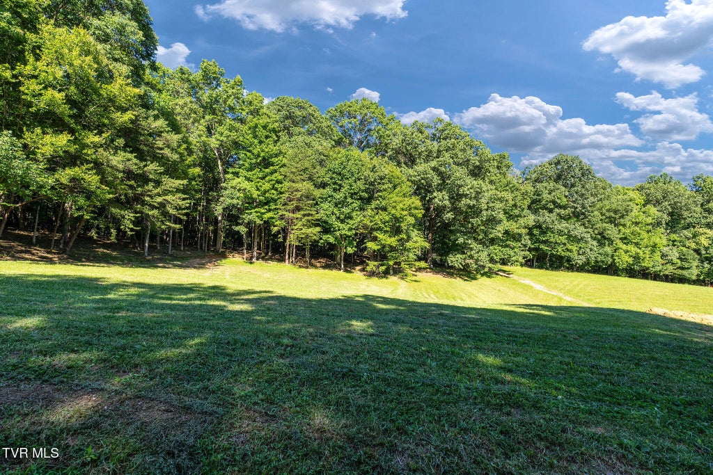 Photo of 180 Water Tank Hill Road, Johnson City, TN 37604 (MLS # 10001359)