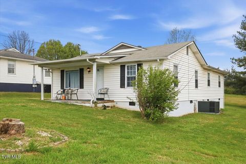 Photo of 1324 Davis Street, Morristown, TN 37814 (MLS # 9993170)