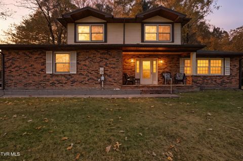 Homes For Sale - 10388 Helen Henderson Highway<br/> Honaker, VA 24260