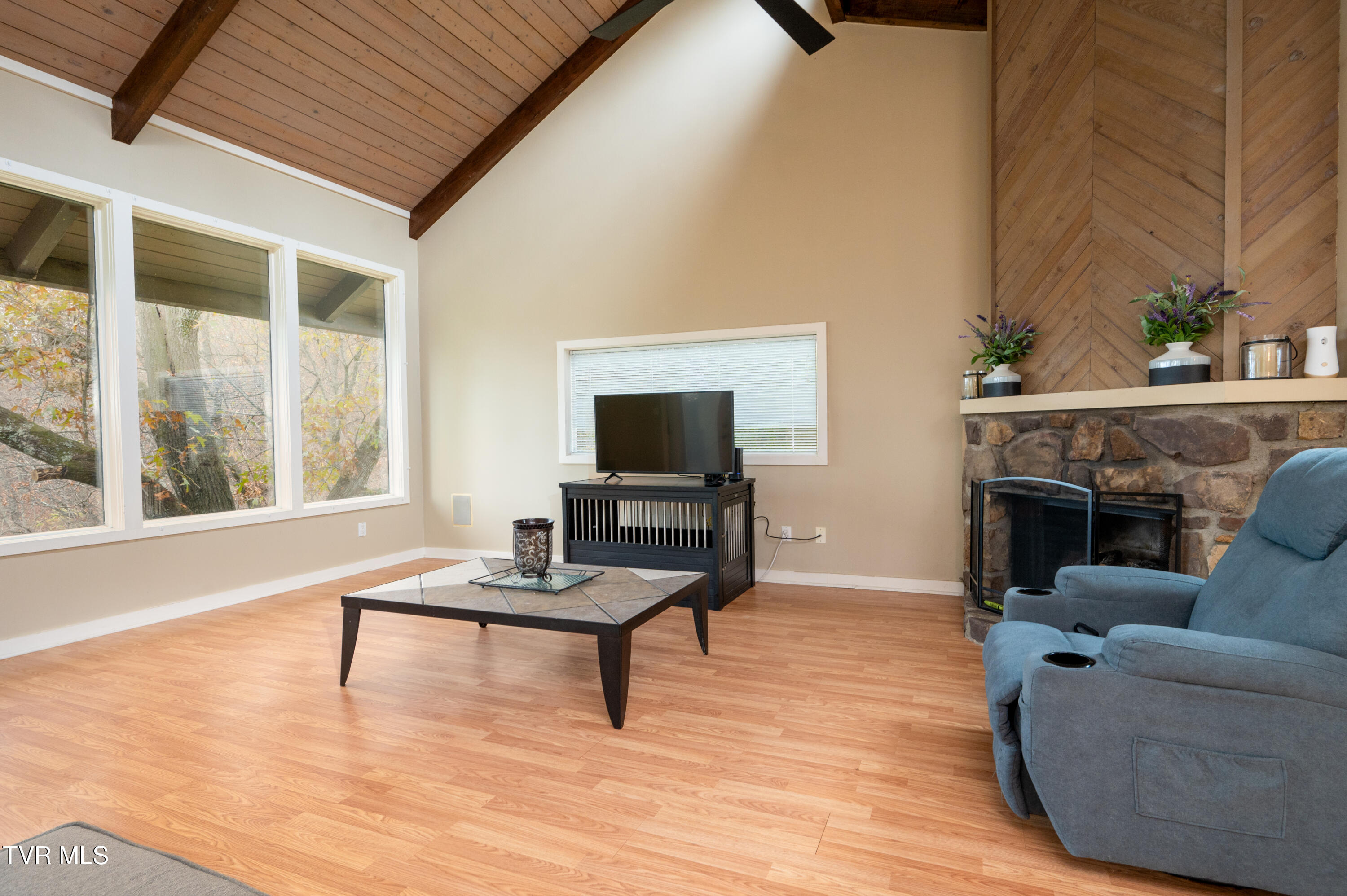 111 Tree Top Lane Ln #111, Johnson City, Tennessee image 6