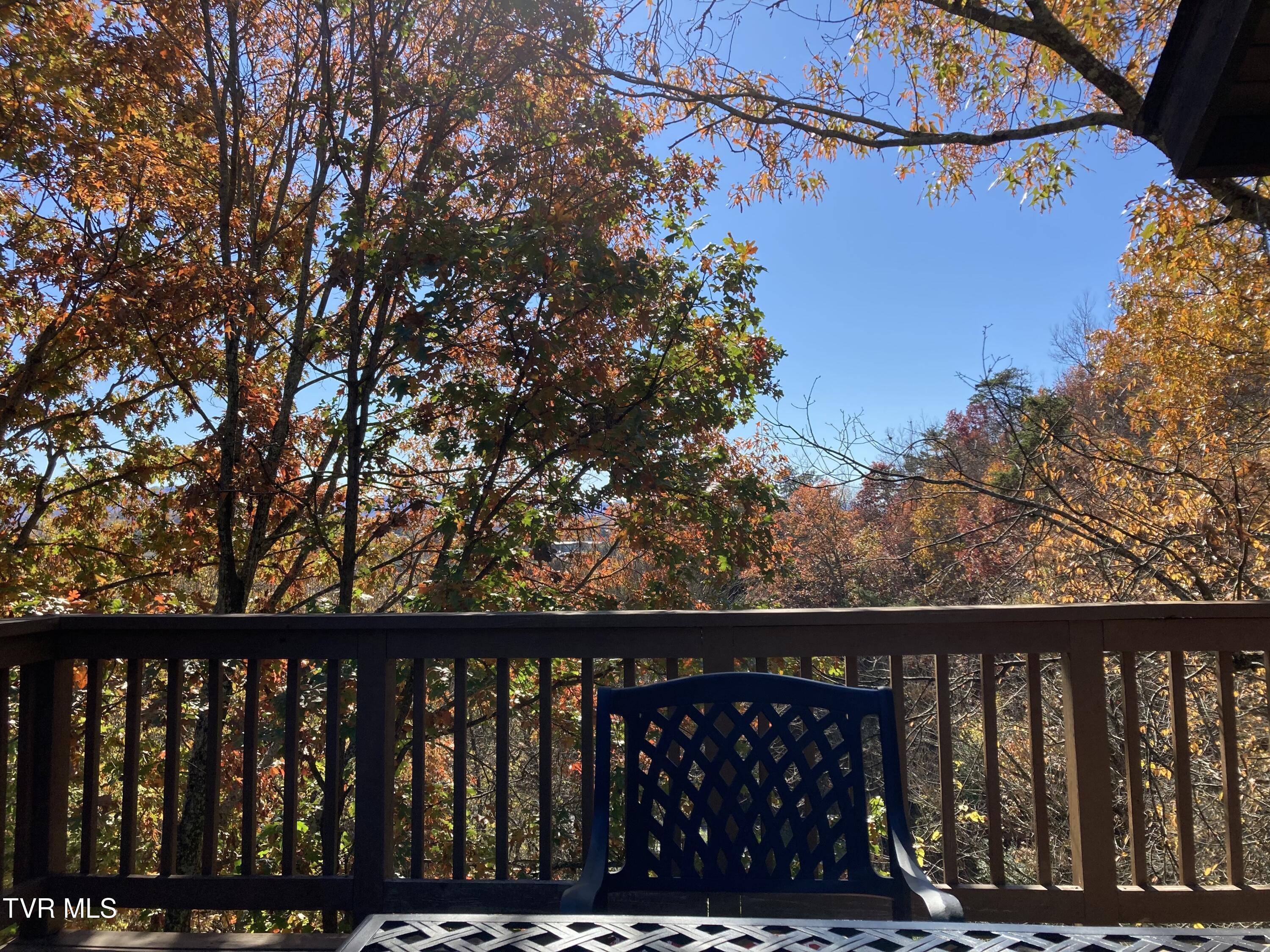 111 Tree Top Lane Ln #111, Johnson City, Tennessee image 41