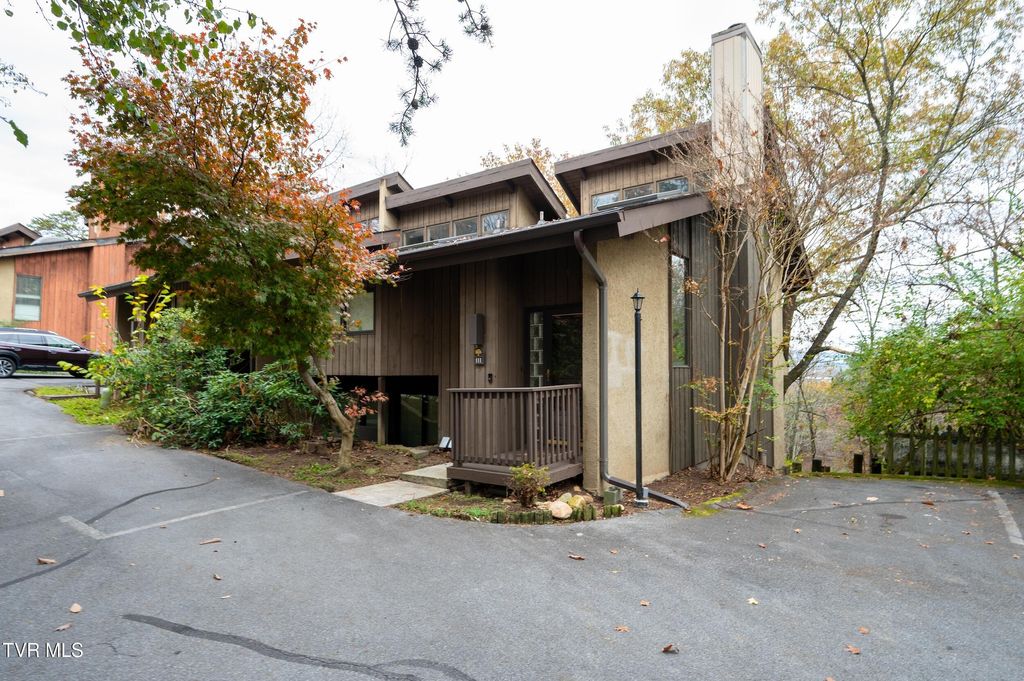 Photo of 111 Tree Top Lane Ln #111, Johnson City, TN 37601 (MLS # 9973737)