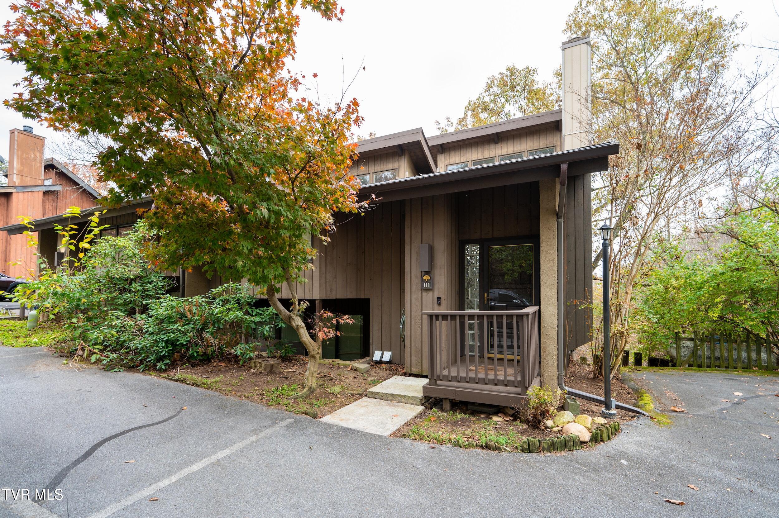 111 Tree Top Lane Ln #111, Johnson City, Tennessee image 38