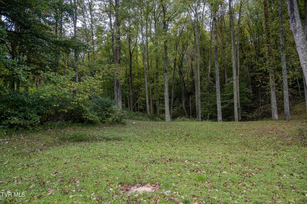 Photo of 7877 Forest Lodge Drive, Lebanon, VA 24266 (MLS # 9971875)