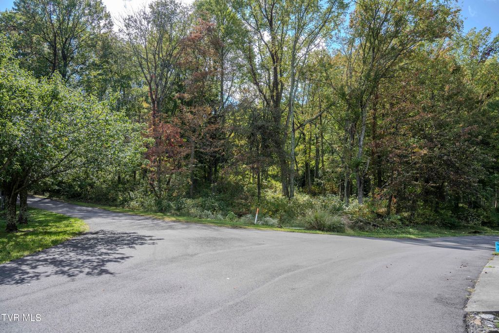 Photo of 7877 Forest Lodge Drive, Lebanon, VA 24266 (MLS # 9971875)