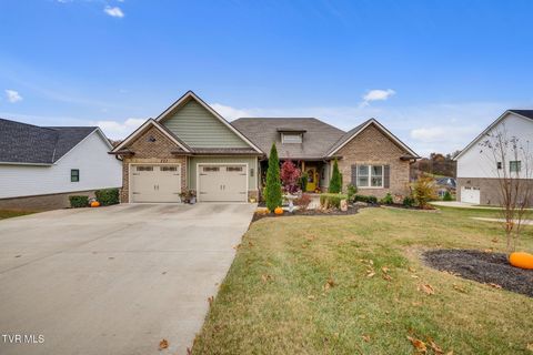 Photo of 818 Hales Chapel Road, Gray, TN 37615 (MLS # 9988225)