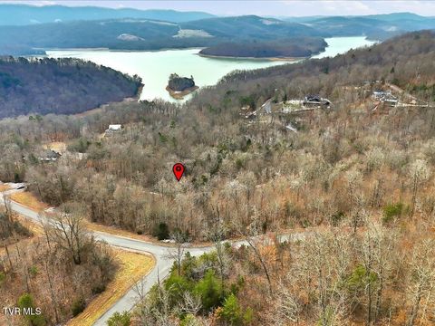 Vacant Land For Sale - LOT 499 Citron Lane<br/> Claiborne County, New Tazewell, TN 37825