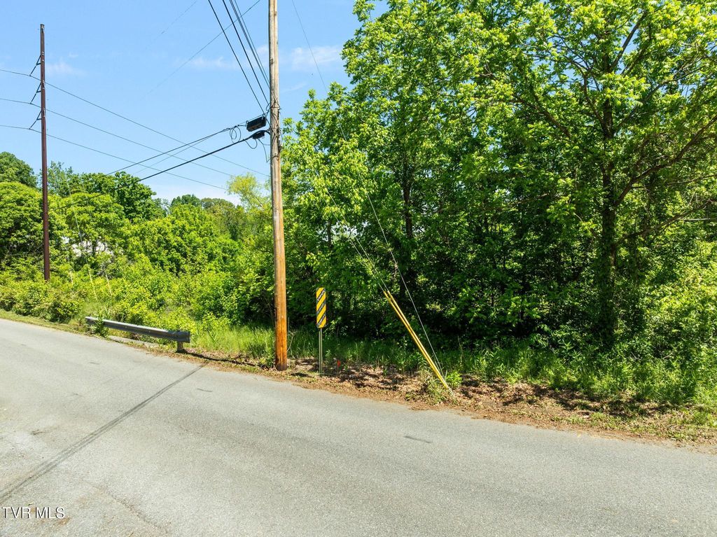 Photo of 148 Cox Road, Johnson City, TN 37615 (MLS # 9995319)