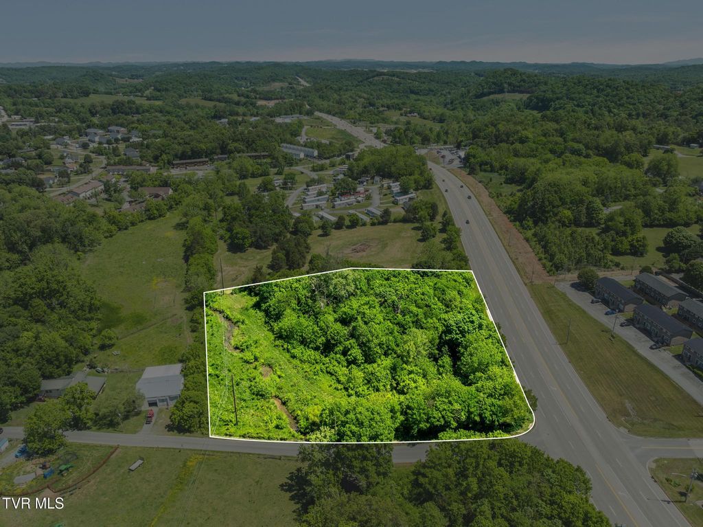 Photo of 148 Cox Road, Johnson City, TN 37615 (MLS # 9995319)