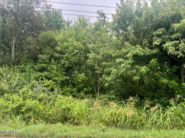 Tbd Rheatown Road, Chuckey, Tennessee image 4