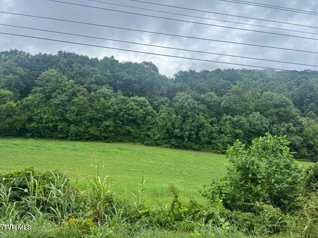 Tbd Rheatown Road, Chuckey, Tennessee image 2