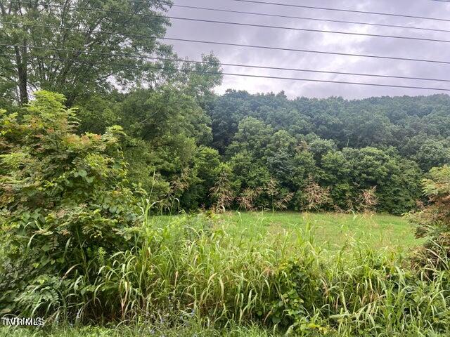 Tbd Rheatown Road, Chuckey, Tennessee image 1