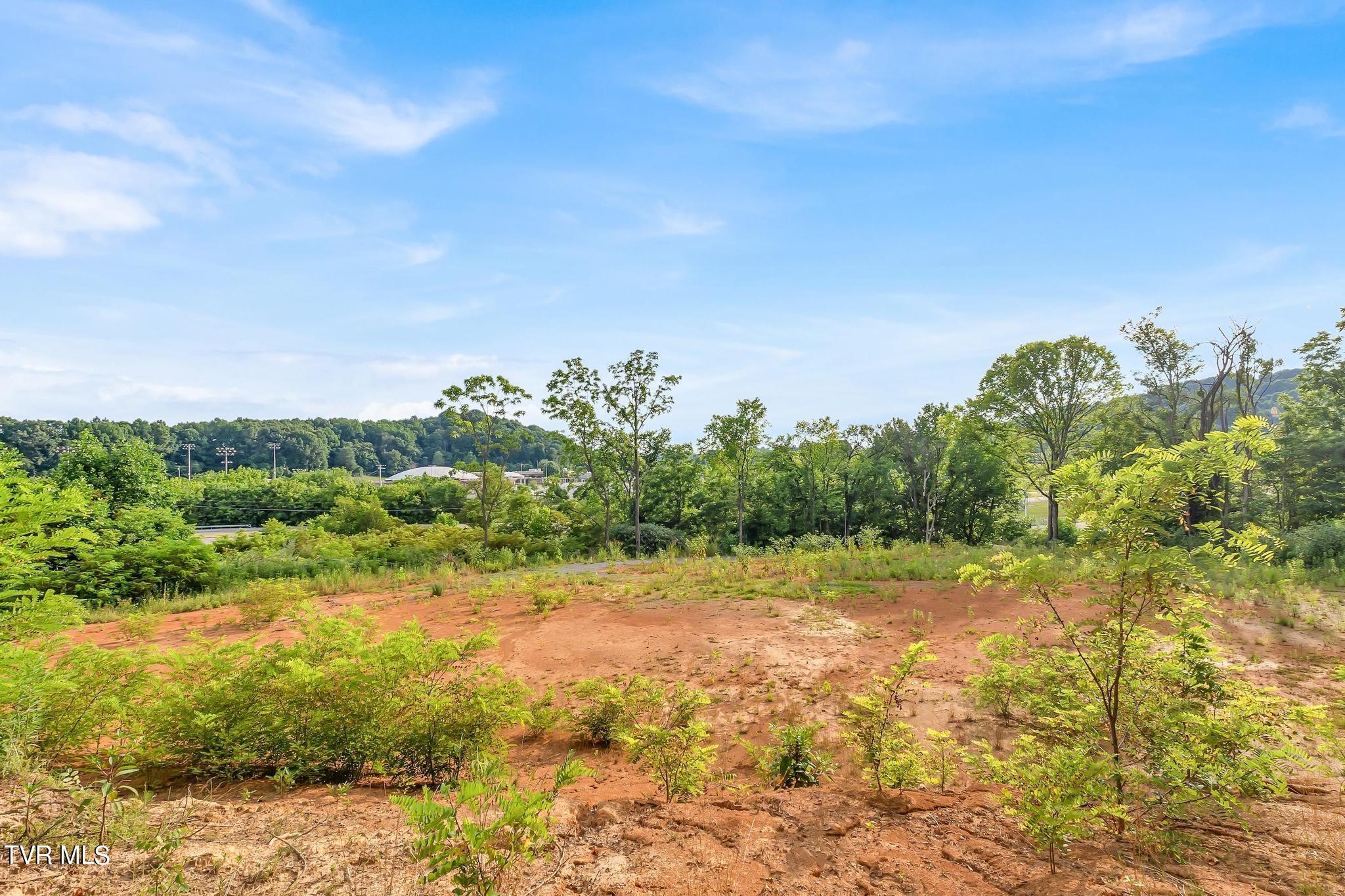 Fleenor Drive, Kingsport, Tennessee image 14