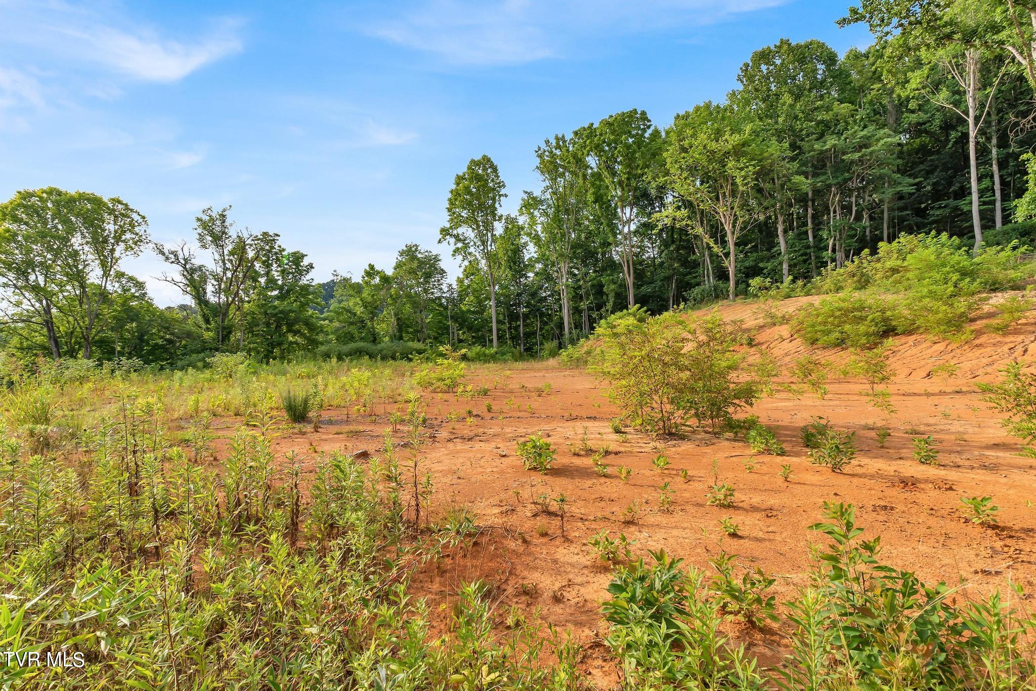 Fleenor Drive, Kingsport, Tennessee image 12
