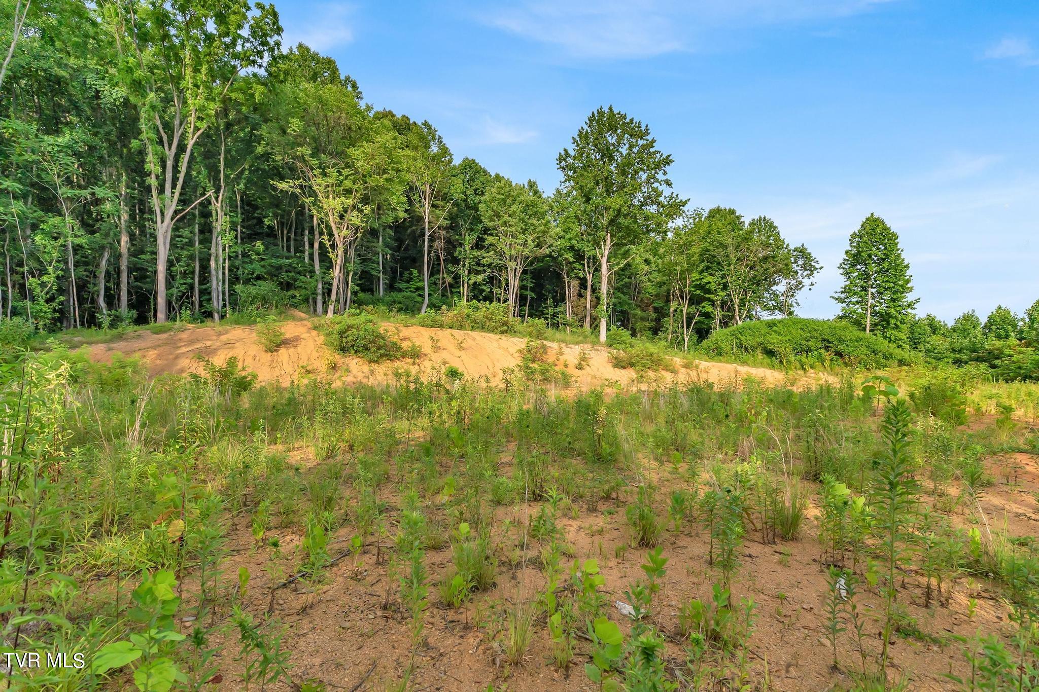 Fleenor Drive, Kingsport, Tennessee image 16