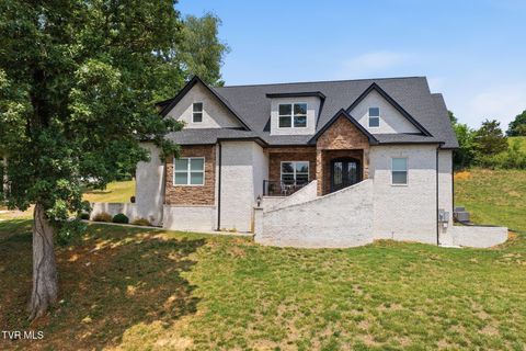 Photo of 127 Allison Timbers Road, Piney Flats, TN 37686 (MLS # 9996418)