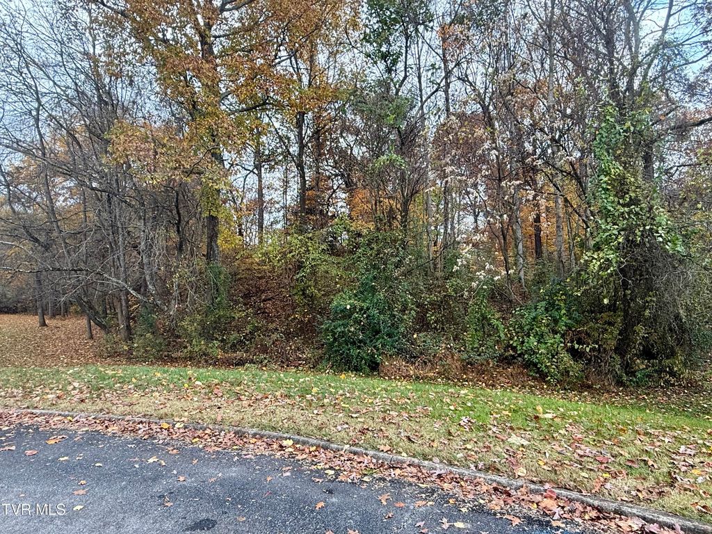 Photo of Tbd Grassy Circle, Gray, TN 37615 (MLS # 9988131)