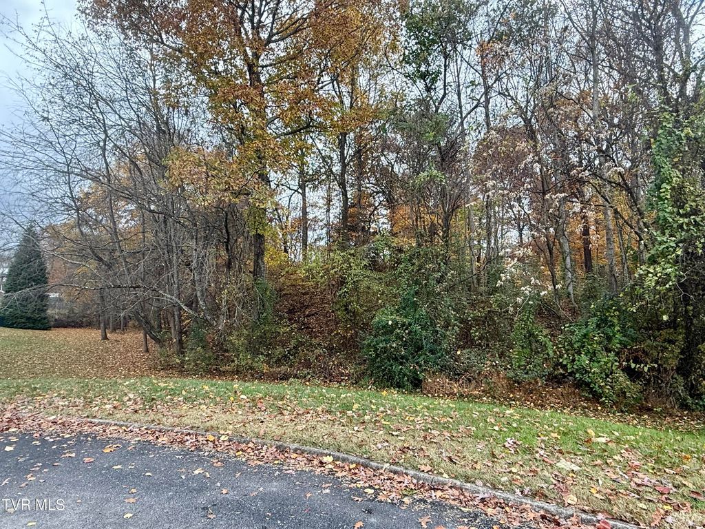 Photo of Tbd Grassy Circle, Gray, TN 37615 (MLS # 9988131)
