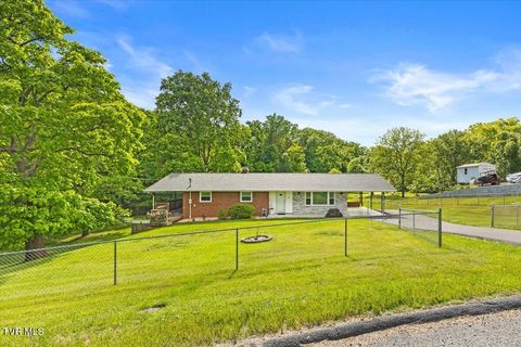 Photo of 161 Sunny Lane, Kingsport, TN 37660 (MLS # 9995638)