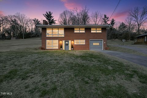 Photo of 1423 Lakeside Lane, Kingsport, TN 37663 (MLS # 9989966)